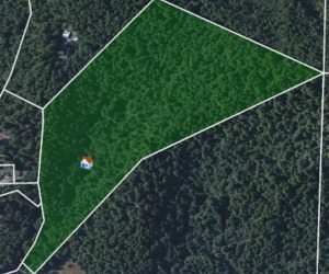 Purchase of Timberland in Humboldt County