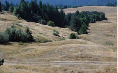 RURAL LAND PURCHASE IN HUMBOLDT COUNTY, CA