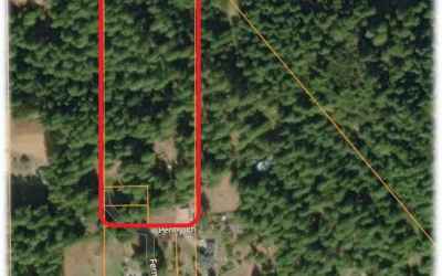 Matured Timber Harvest Plan in Fortuna, California