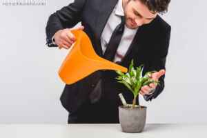 Who Buys Real Estate Notes?