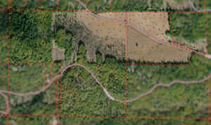 Cash-Out 170 Acre Rural Ag Parcel in Lake County