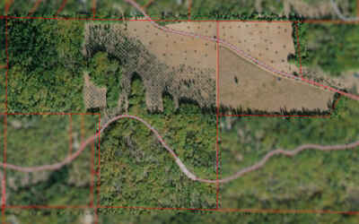 Cash-Out 170 Acre Rural Ag Parcel in Lake County