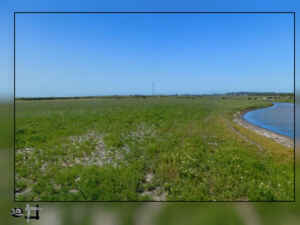 Lowland Farm for Cattle Grazing by Experienced Rancher