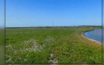 Lowland Farm for Cattle Grazing by Experienced Rancher