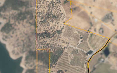 Vineyard purchase in Calaveras County, CA