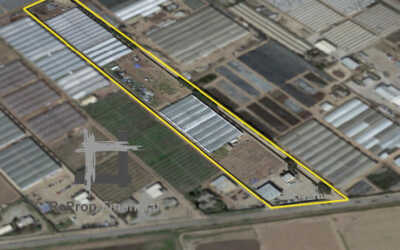 Specialty Agri-Production and Processing in Central California