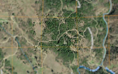 Collateral- 40 acres with Timber, Water, Road & Cabin